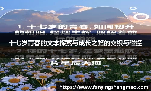 B体育官网