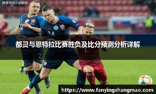 关键词4